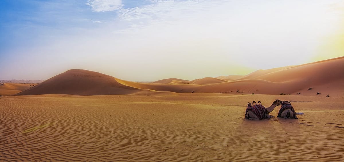 "Перелеты Turkish Airlines из Занзибара в Даммам",