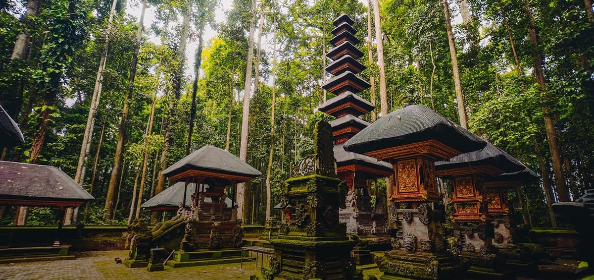 "Дешевые рейсы из Денпасара | Turkish Airlines",