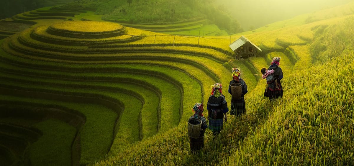 "Перелеты Turkish Airlines из Лиссабона в Ханой",