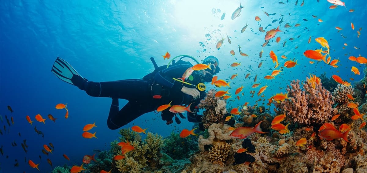 "Перелеты Turkish Airlines из Пекина в Хургаду",