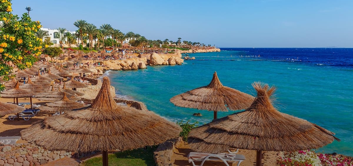 "Перелеты Turkish Airlines из Манчестера в Шарм-эш-Шейх",