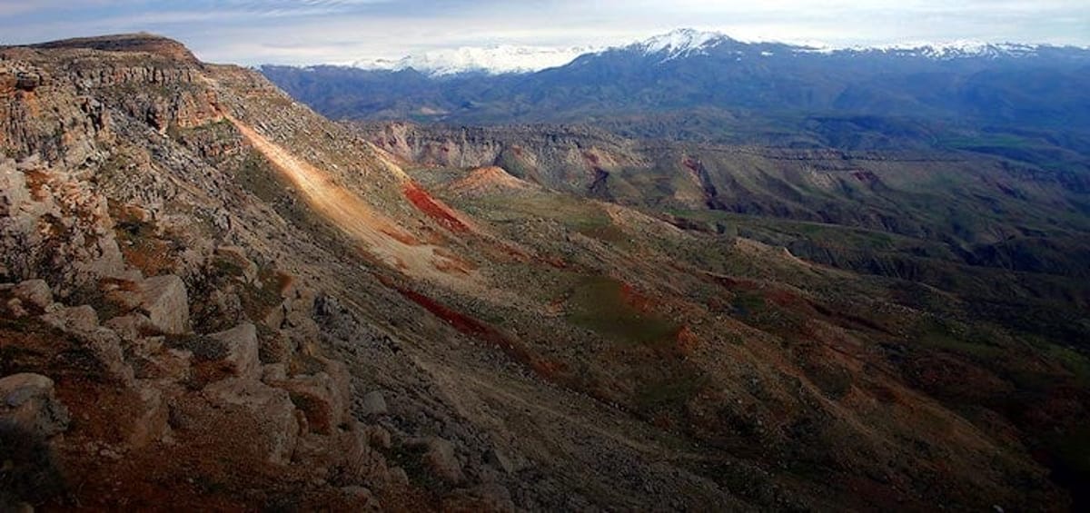 "Перелеты Turkish Airlines из Стамбула из Сиирта",
