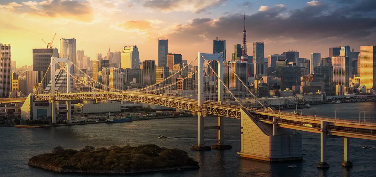 "Перелеты Turkish Airlines из Парижа в Токио",