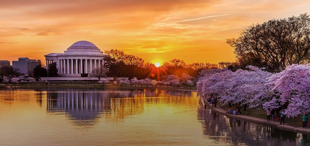 "Перелеты Turkish Airlines из Абуджи в Вашингтон",