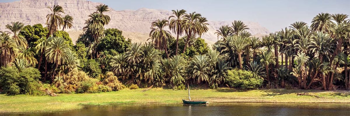 "Рейсы Алеппо – Южный Судан | Turkish Airlines",