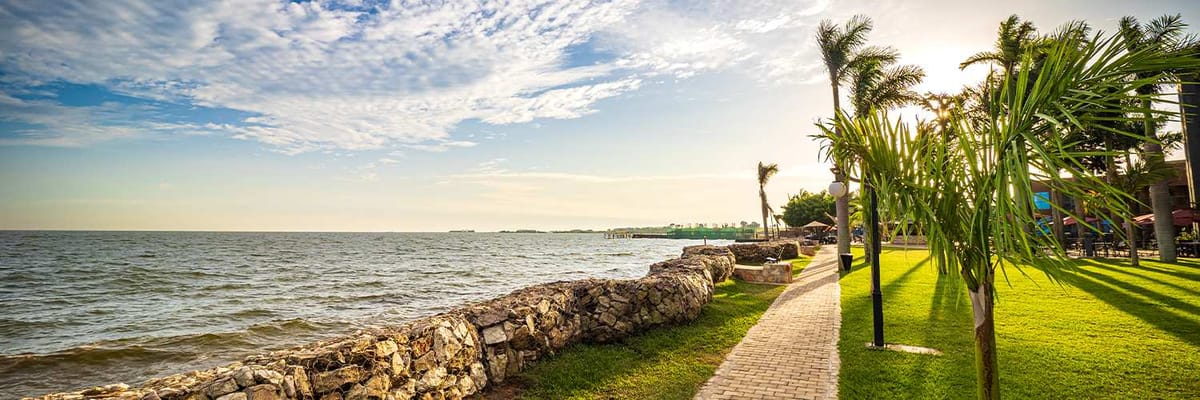 Vols de Montréal à Ouganda