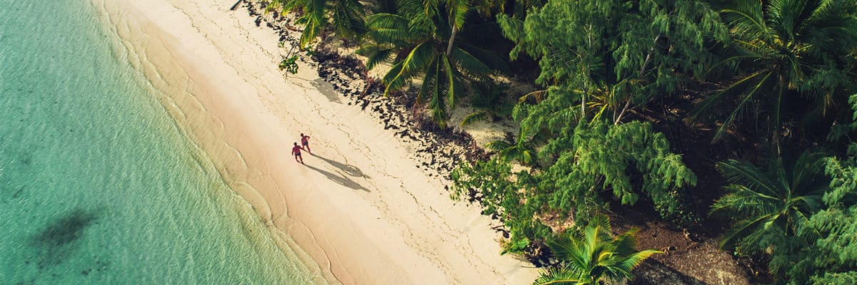 Flights to Punta Cana (PUJ)