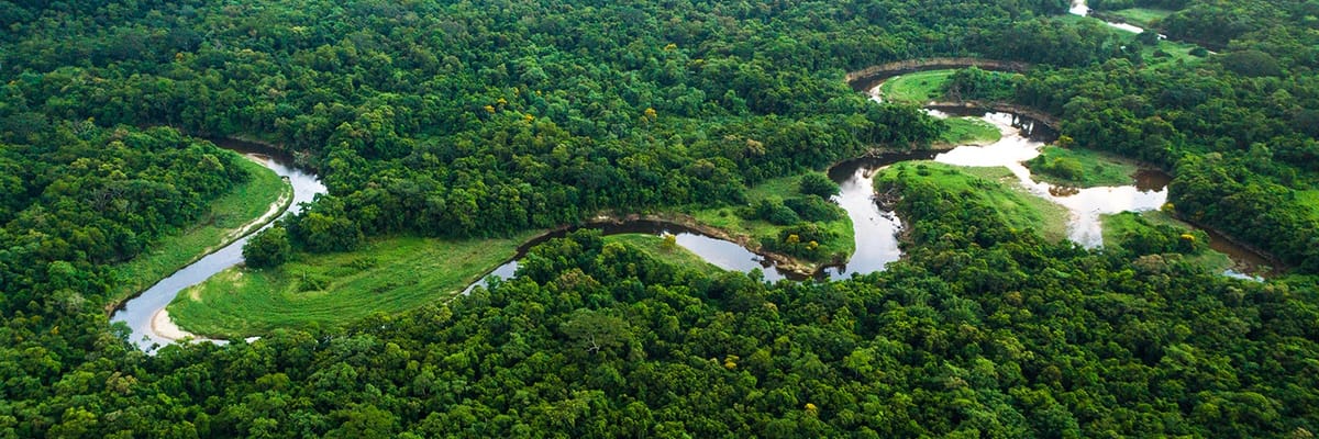 Flüge nach Manaus (MAO)