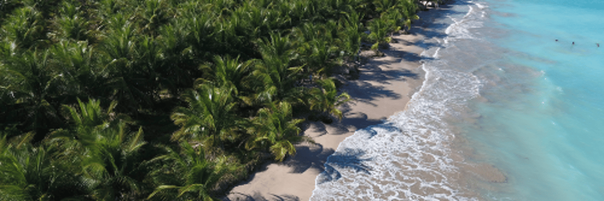 Flüge nach Maceió (MCZ)