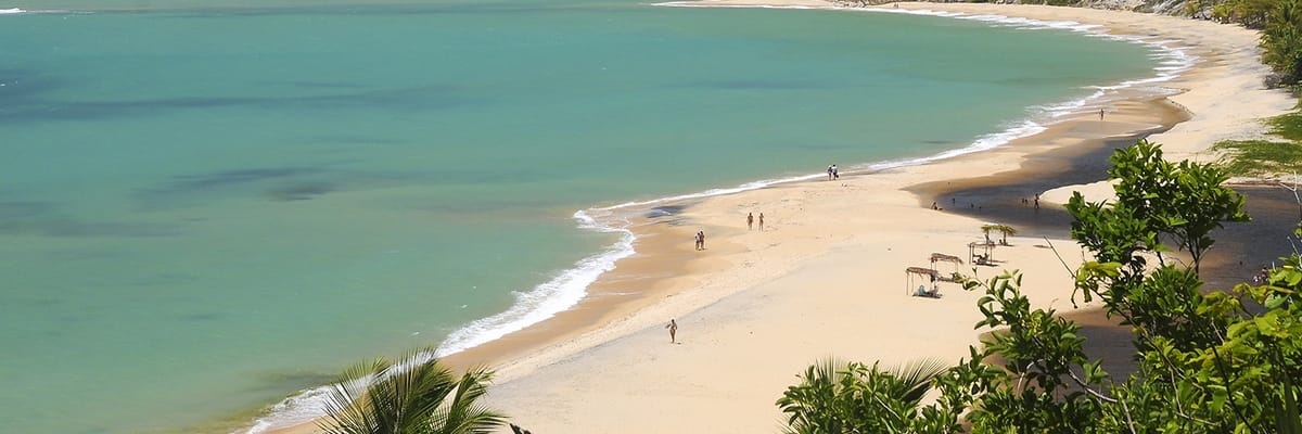 Flights to Salvador (SSA)