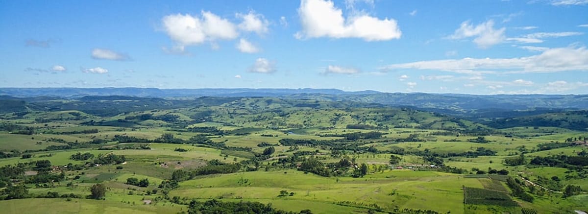 Flights to Londrina (LDB)