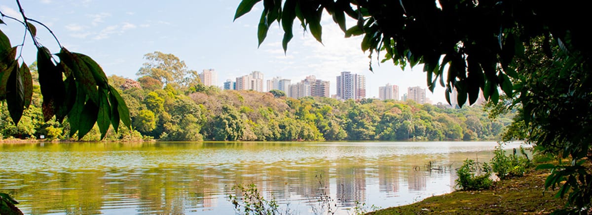 Flights to Maringa (MGF)