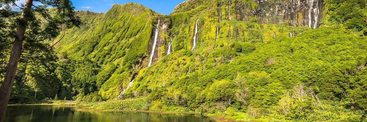 Voos para Ilha Das Flores (FLW)