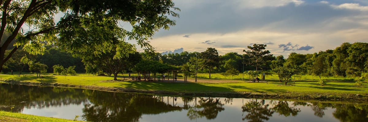 Vols vers Goiânia (GYN)