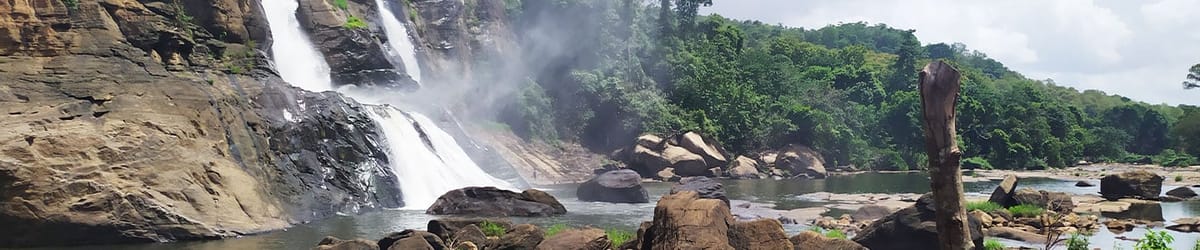 Lowest Priced Flights to Coimbatore on Scoot