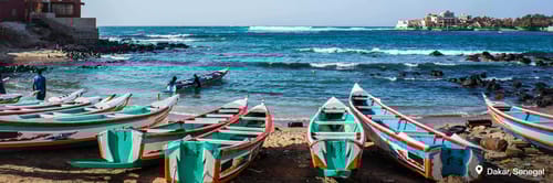 United Airlines New Dreamliner Livery