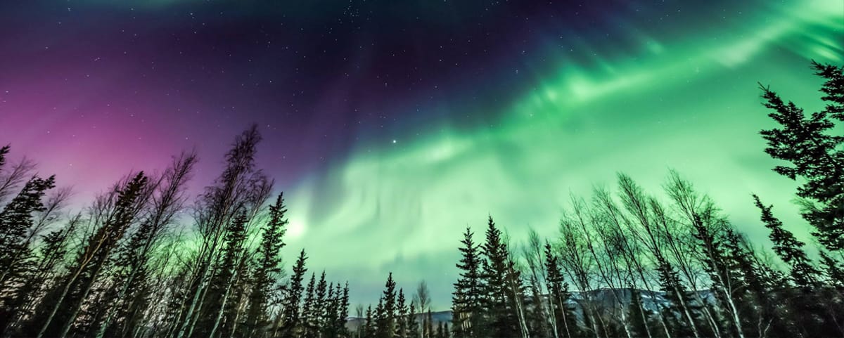 United Airlines New Dreamliner Livery