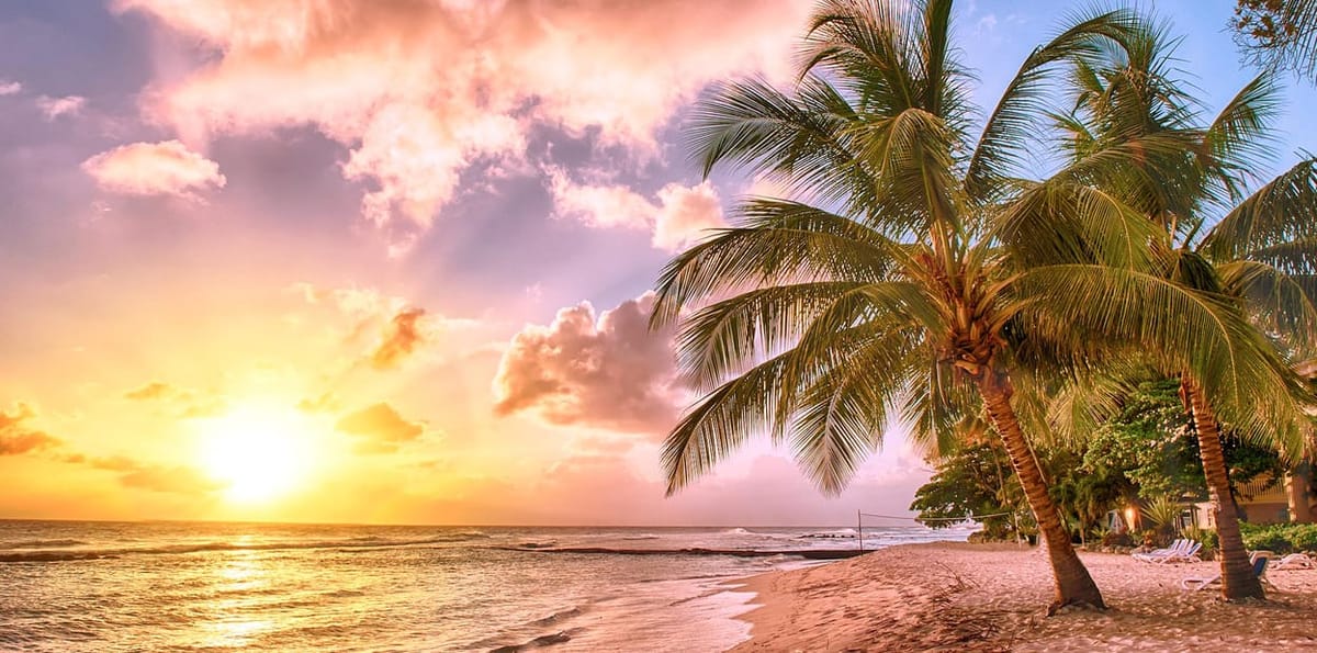 United Airlines New Dreamliner Livery