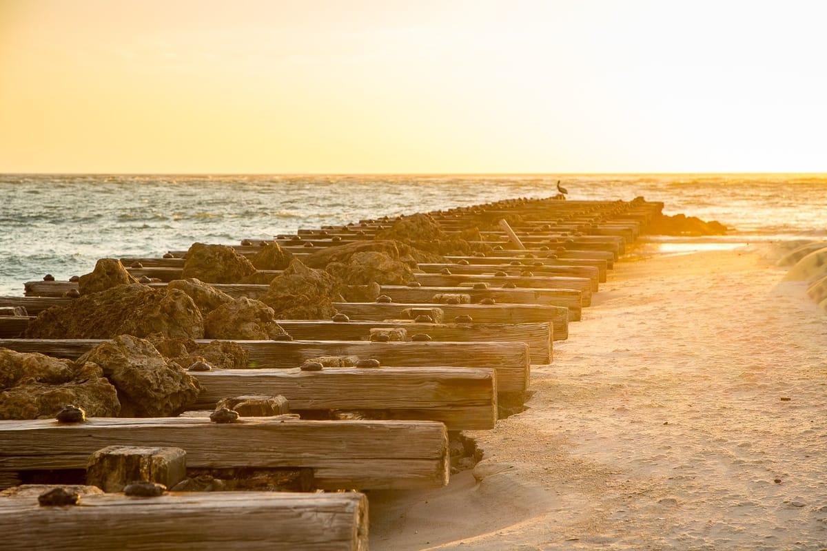 United Airlines New Dreamliner Livery