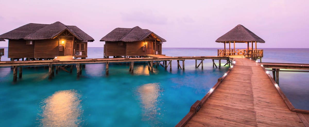 United Airlines New Dreamliner Livery