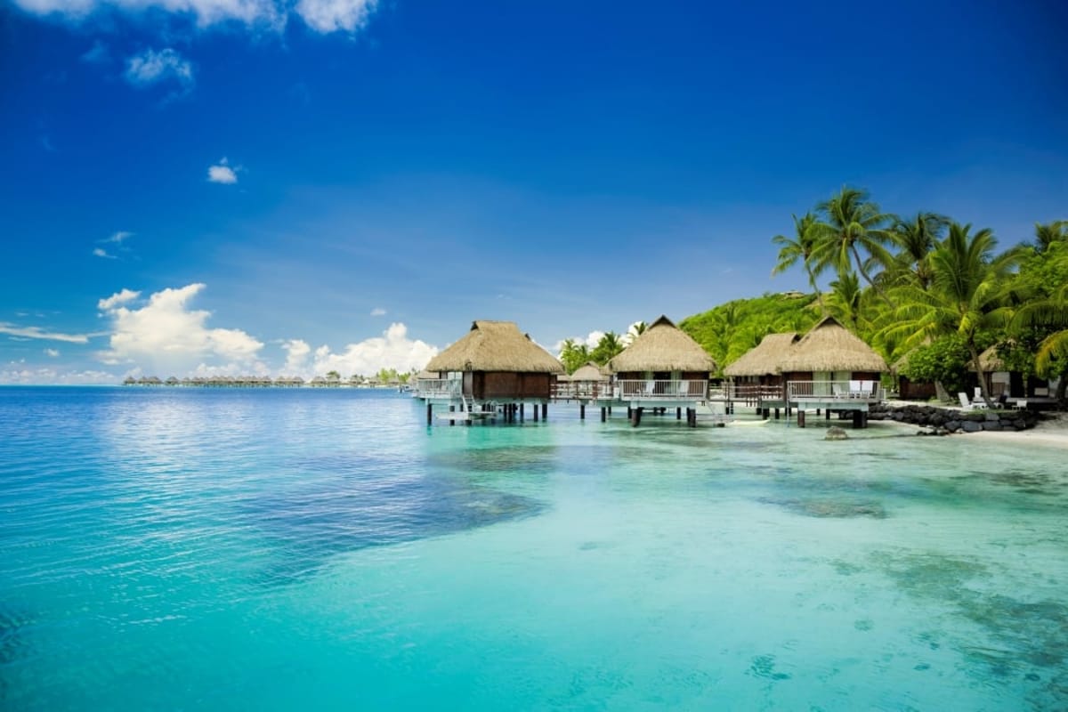 United Airlines New Dreamliner Livery