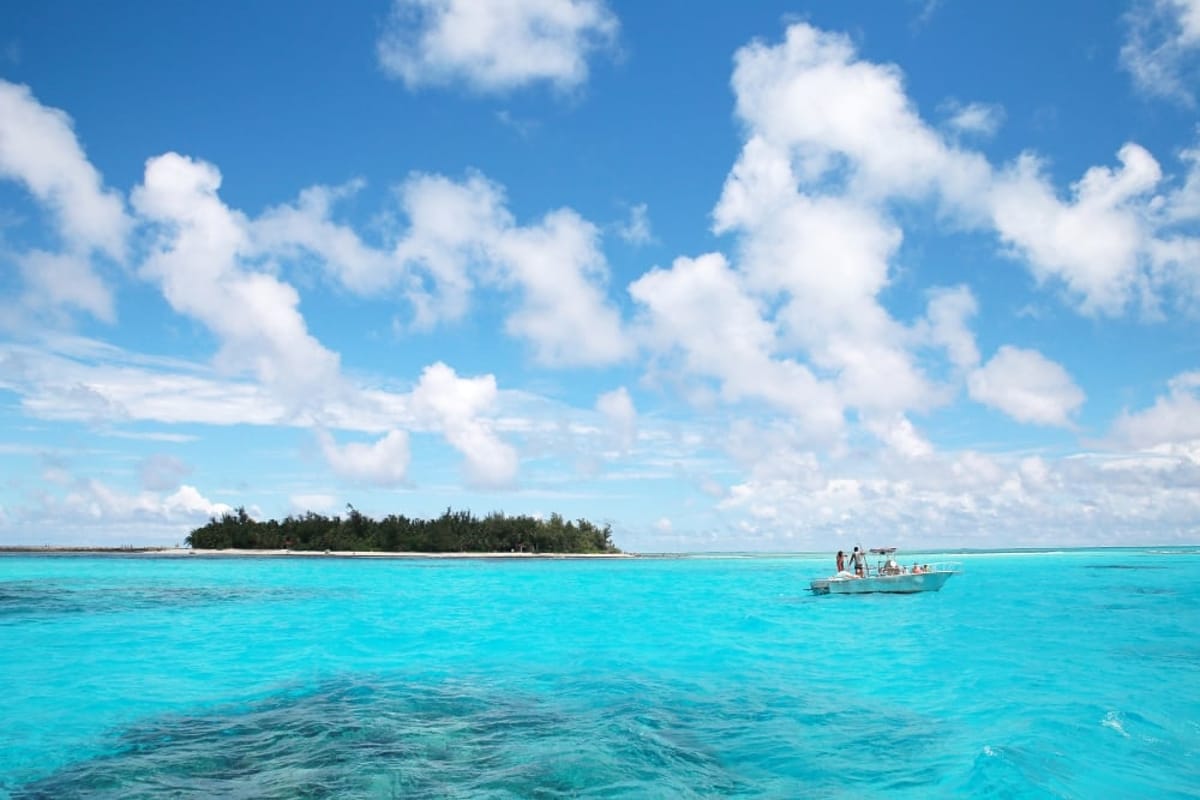 United Airlines New Dreamliner Livery