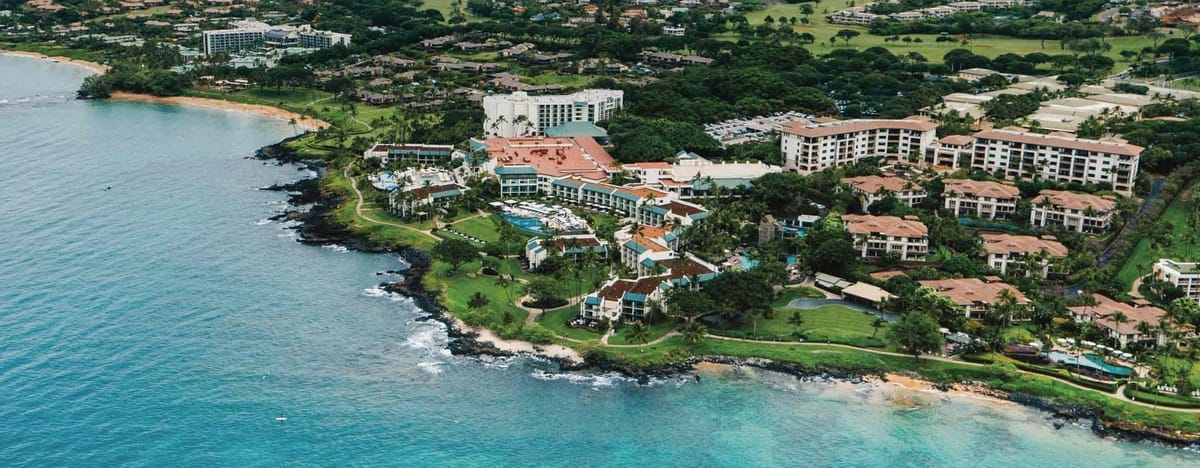 United Airlines New Dreamliner Livery