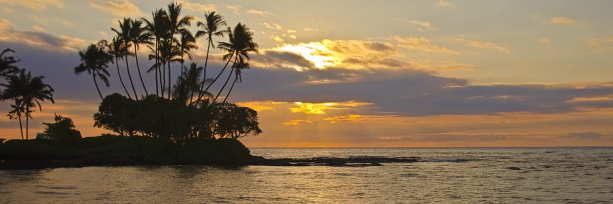 United Airlines New Dreamliner Livery