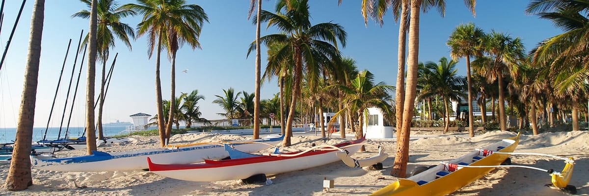 United Airlines New Dreamliner Livery