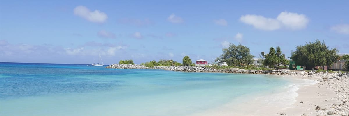 United Airlines New Dreamliner Livery