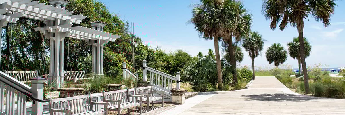 United Airlines New Dreamliner Livery