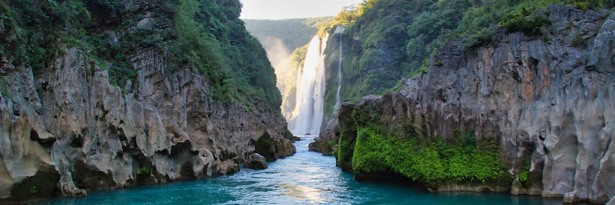 United Airlines New Dreamliner Livery