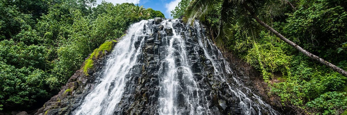 United Airlines New Dreamliner Livery