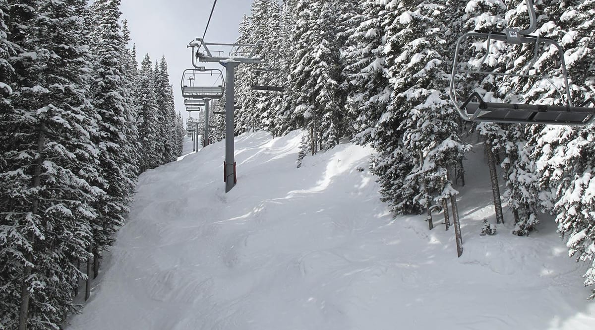 United Airlines New Dreamliner Livery