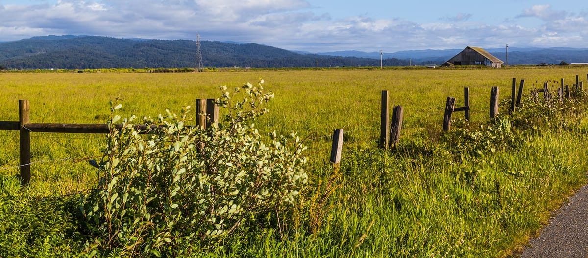United Airlines New Dreamliner Livery