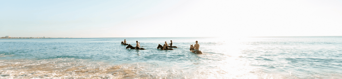 United Airlines New Dreamliner Livery