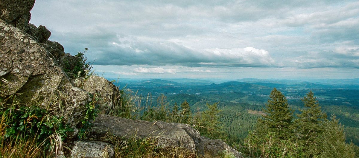 United Airlines New Dreamliner Livery