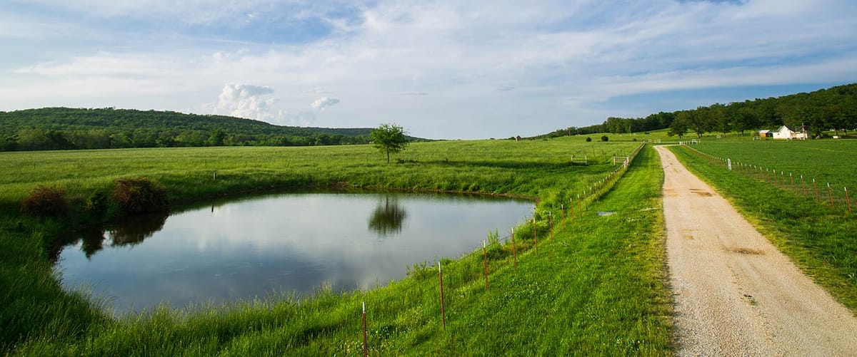 United Airlines New Dreamliner Livery