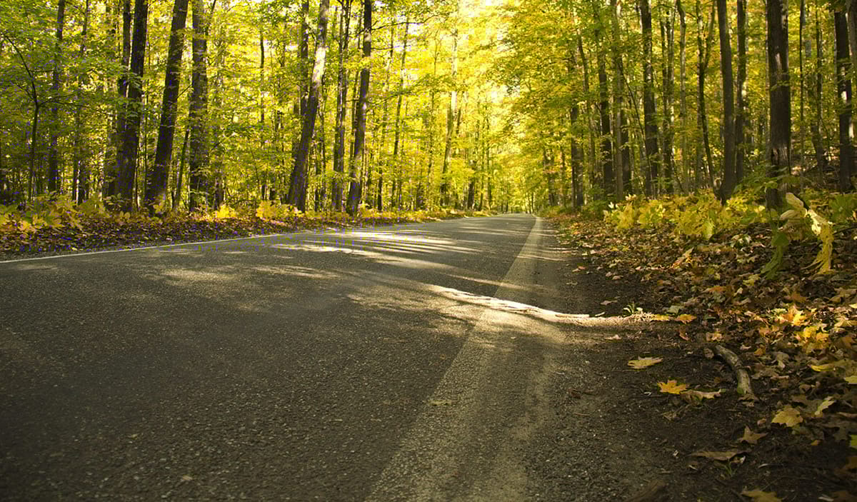 United Airlines New Dreamliner Livery
