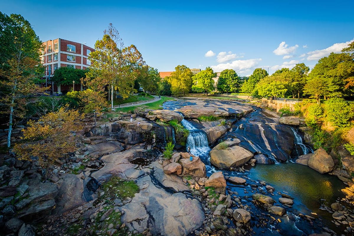 United Airlines New Dreamliner Livery