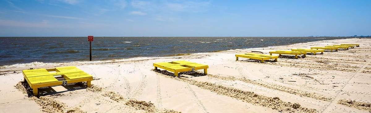 United Airlines New Dreamliner Livery