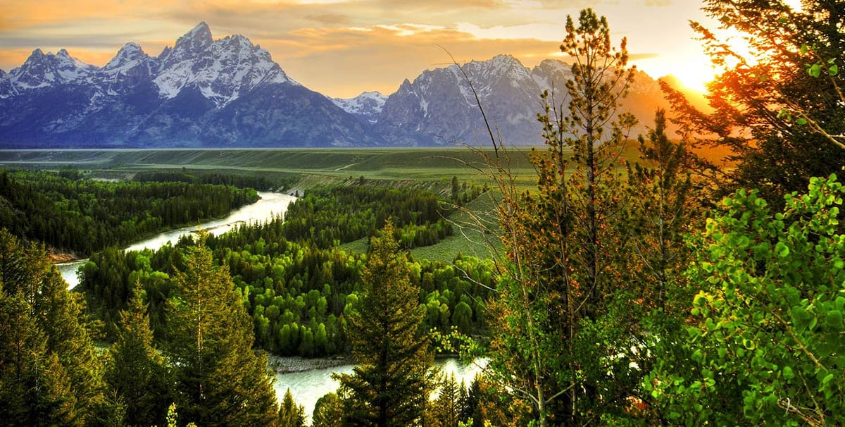 United Airlines New Dreamliner Livery