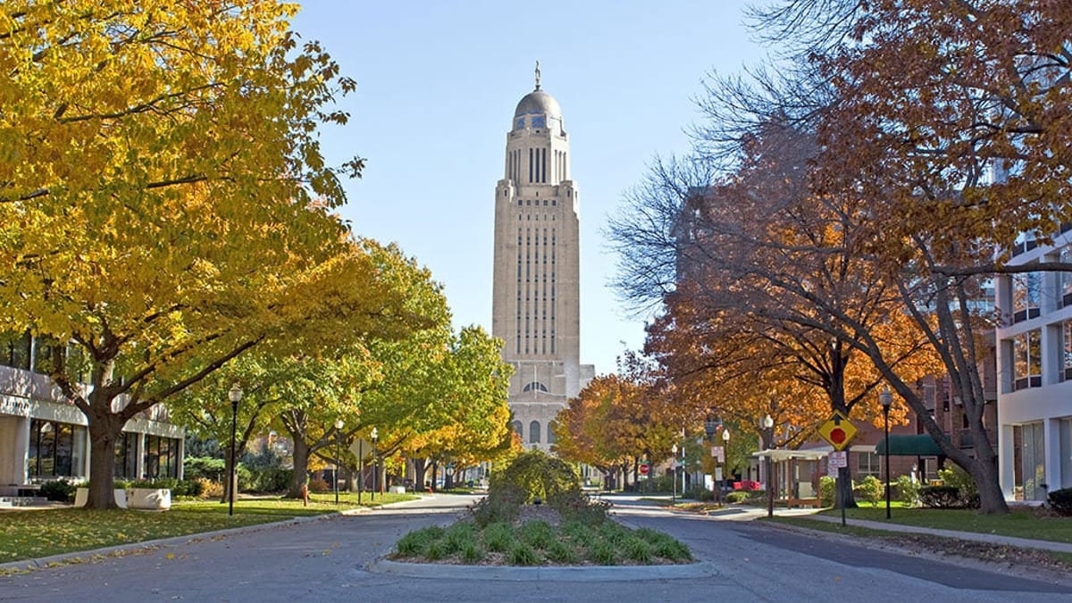 United Airlines New Dreamliner Livery