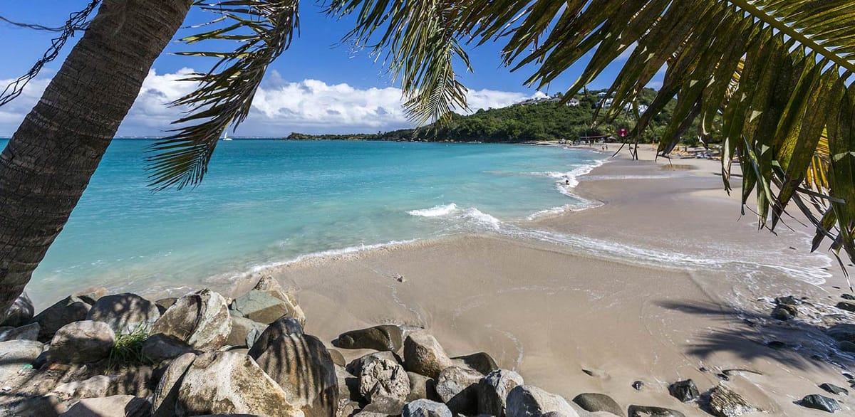 United Airlines New Dreamliner Livery