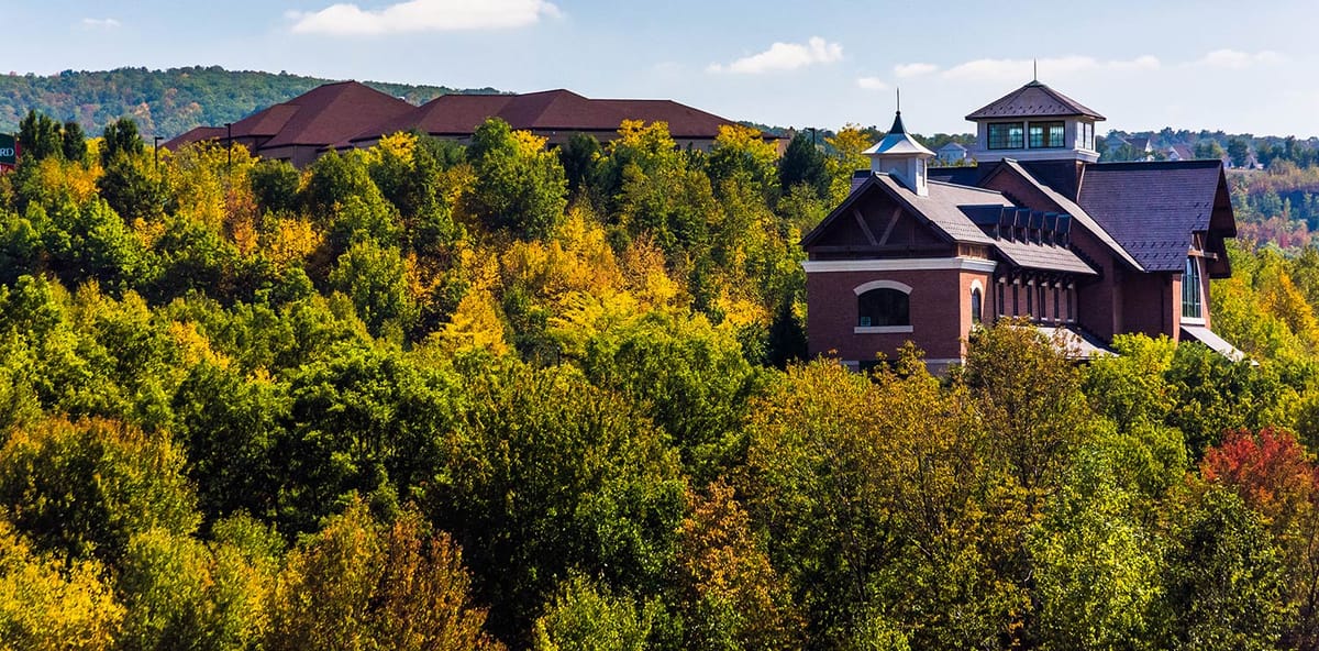 United Airlines New Dreamliner Livery