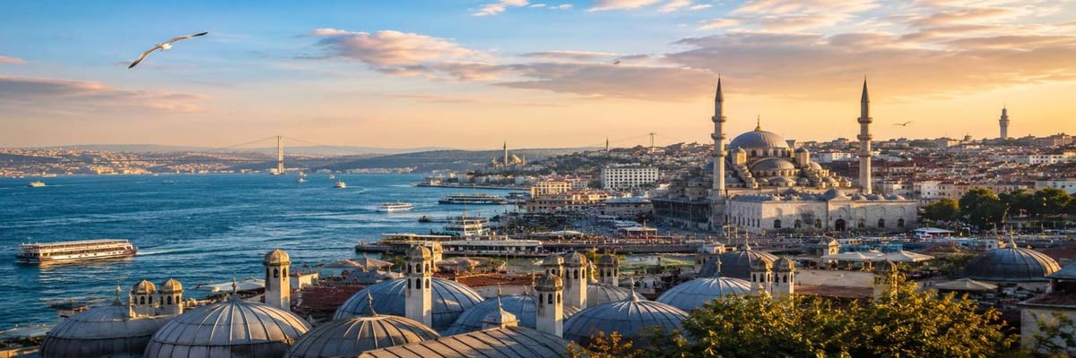 Cerca offerte sui voli da Barcellona a Istanbul (BCN - IST)