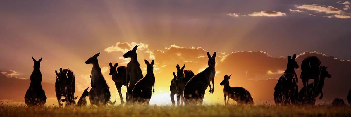 Flights to Australia