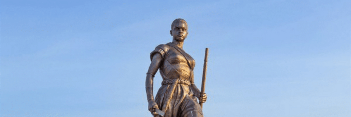 Book Cheap Flights to Cotonou on ValueJet