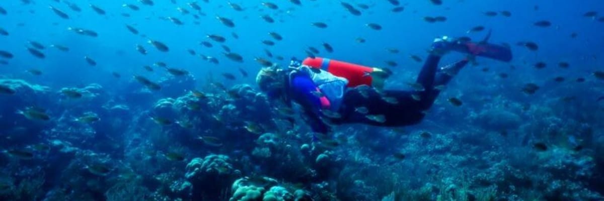 Flight deals from Saint Vincent (Kingstown)Â (SVD)