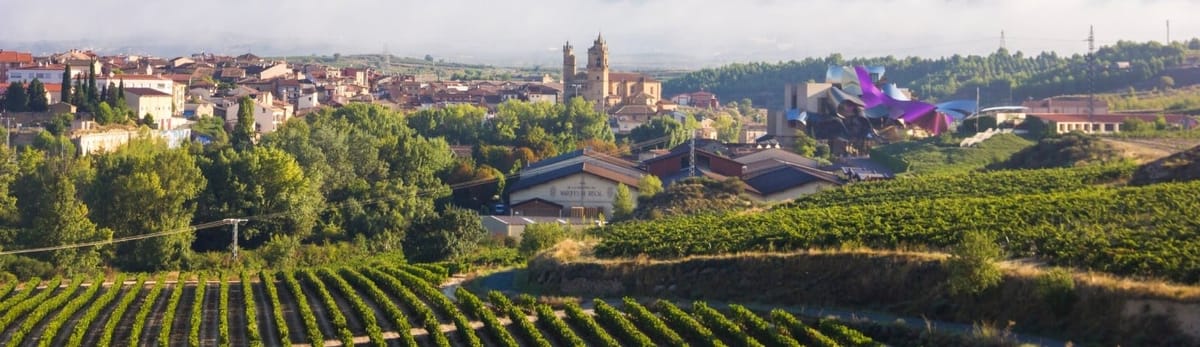 Günstige Flüge von Logroño (La Rioja) in alle Welt mit Vueling